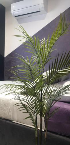 Apartment Lodore del Mare by sea - image 24