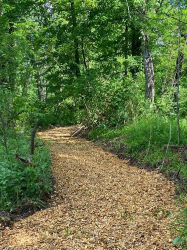 Murphys Law Inn 2 in Hancock (MA)
