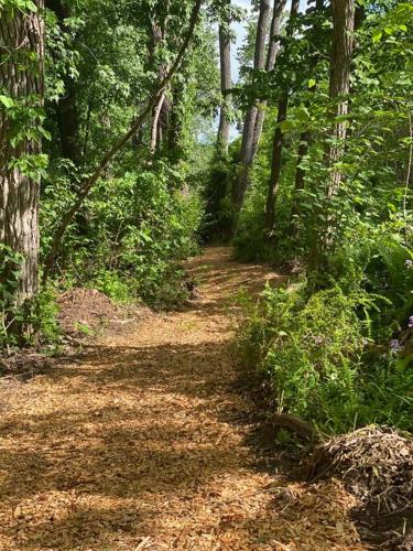 Murphys Law Inn 4 in Hancock (MA)