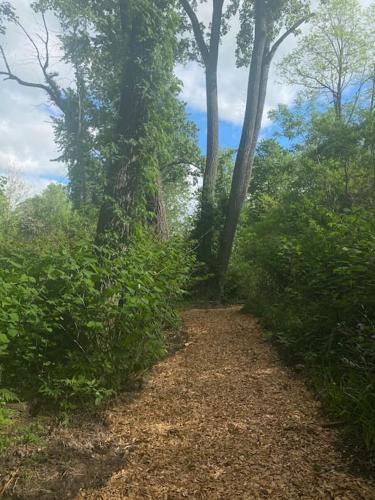 Murphys Law Inn 7 in Hancock (MA)