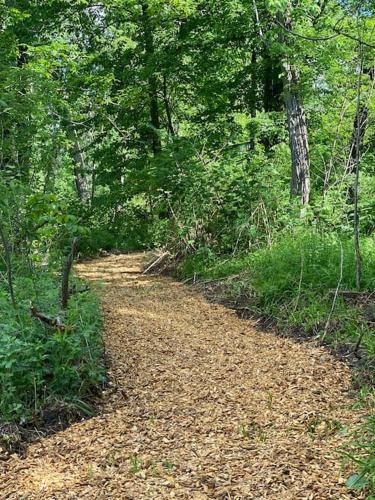 Murphys Law Inn 7 in Hancock (MA)