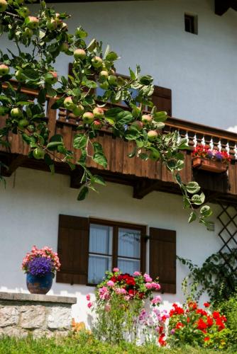 Haus Bergfreund in Bischofswiesen Városközpont