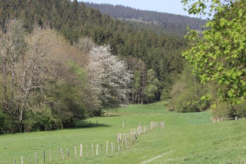 Le Clos du Cerf - Le Sous-bois