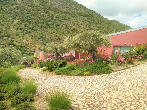  Quinta Vale de Carvalho in Pinhal do Douro