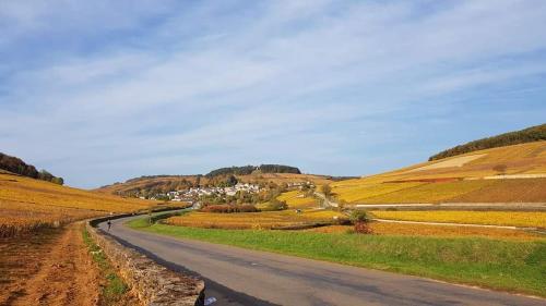 Les Pernands gîte à louer Savigny-lès-Beaune