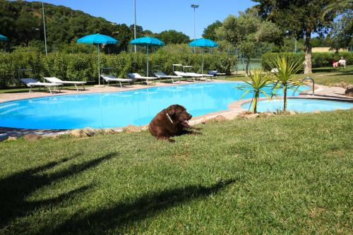 Alghero Resort Country Hotel - image 14