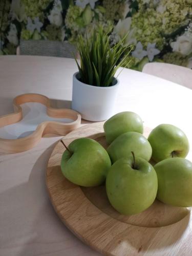 設施, Tuurin Kukkis in 托伊薩