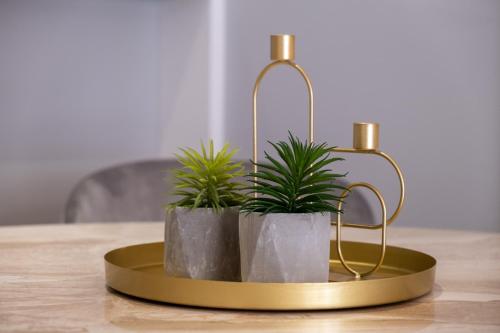 Apartman Aroma - image 3