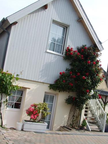Gite Les Orchidees - Honfleur