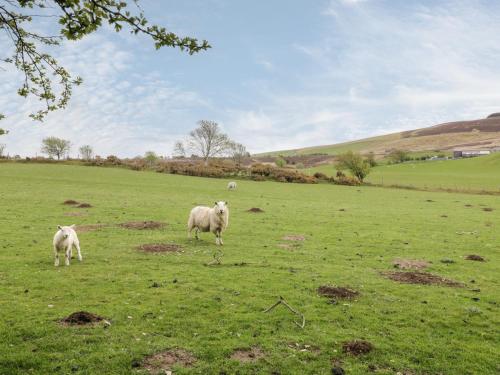 Glan Gors - image 5