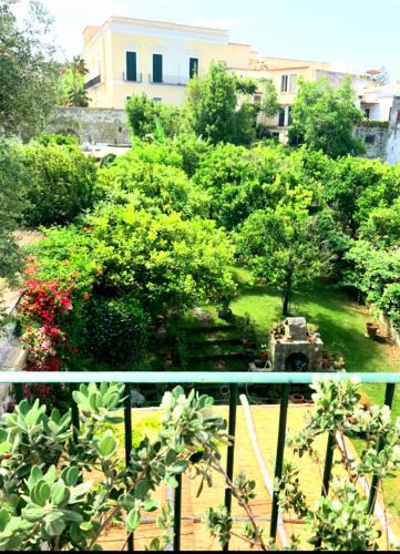  Forio Green House, Pension in Ischia bei Ventotene