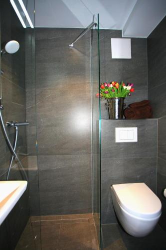 ユーバーリンゲン Uberlinger See-Apartments Apartment 5 Uber-See 2つ星 シングルルーム 眺望