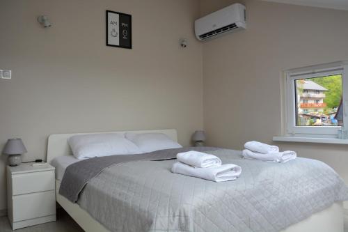 1 king bed, 1 sofa bed