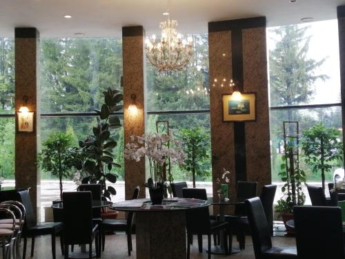 Hotel Piemonte - image 7