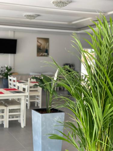 Mucobega Hotel - image 6