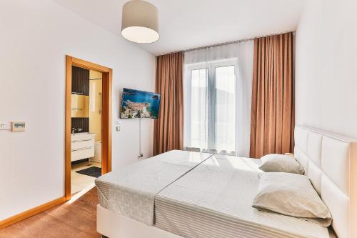 One-Bedroom Apartment image 6