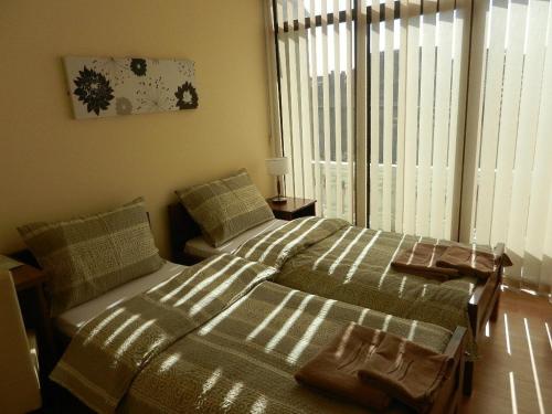 Guesthouse Ellite in 波扎雷華茨