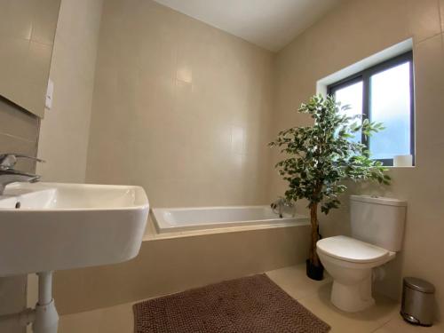Hepburn Holiday Apartment - image 11