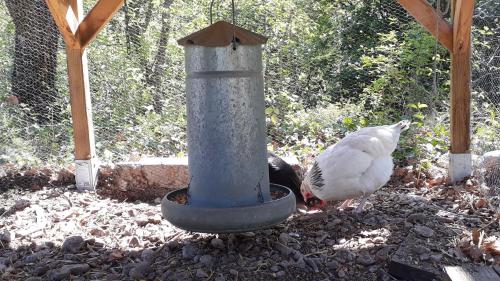 La Blouscaiou Gite 3 étoiles en pleine nature