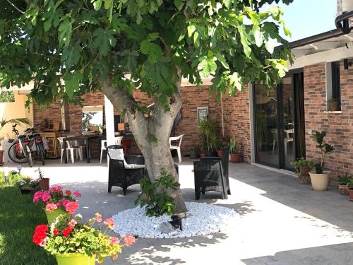 Villa Max&Lory in 夸爾圖聖埃萊娜