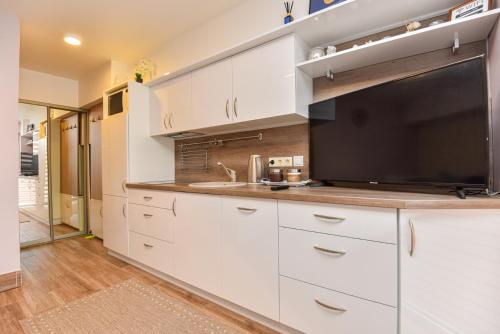 One-Bedroom Apartment image 5