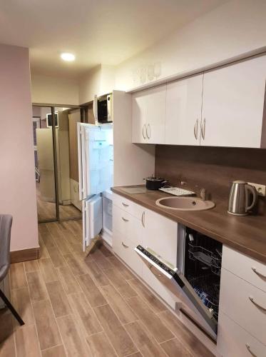 One-Bedroom Apartment image 7