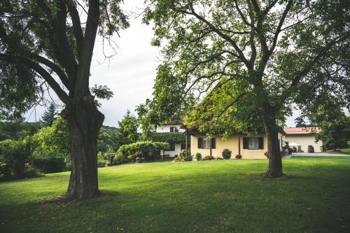 Wein & Gästehof Erlacher