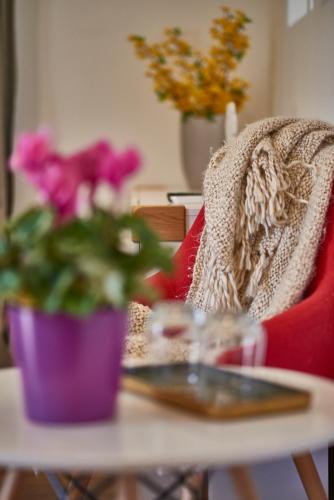 設施, 普利特維卡克里克B&B民宿 (B&B Plitvica Creek) in 普里特維察瑟洛