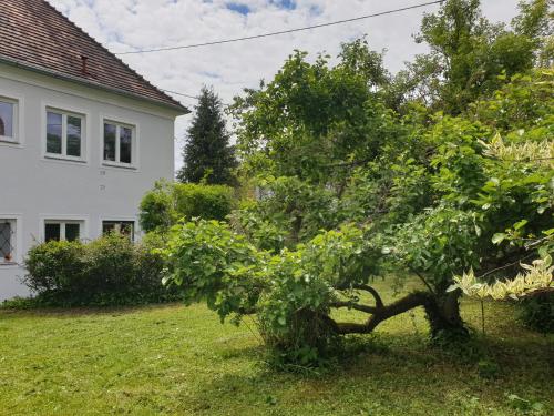 FAMILY APARTMENT LINZ Wohnen mit Garten am Fusse des Pöstlingbergs TOP LAGE Villenviertel