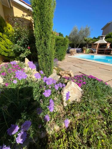 Chambres dans villa avec piscine