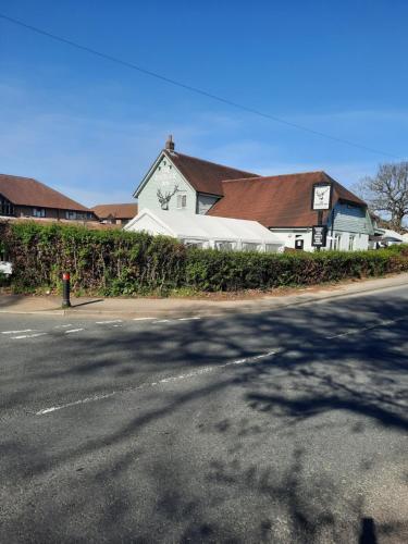 The Roebuck Inn, Southampton, Hampshire