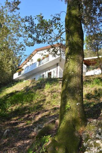 Room in BB - Bb Il Leccio , Umbria chambre d'hôte Narni Scalo