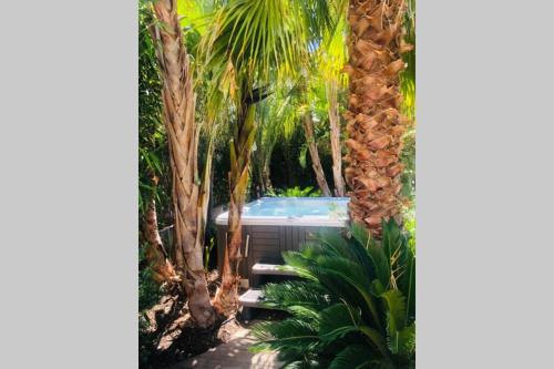 Maison de ville avec jaccuzzi gîte à louer La Seyne-sur-Mer