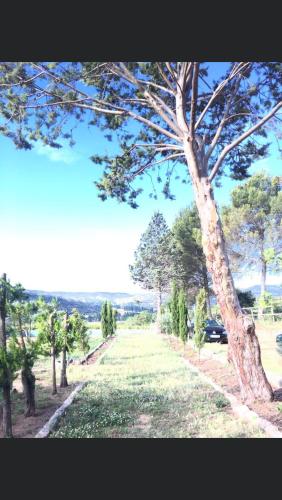  EL RINCON DE REVE in Ambite