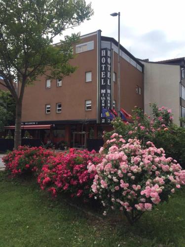 Hotel Millenium2, Prizren (photo 3)