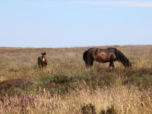 Valley Lodge in ทิเวอร์ตัน