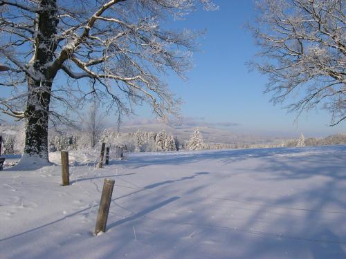 Luxury Apartment in Sumava Mountains