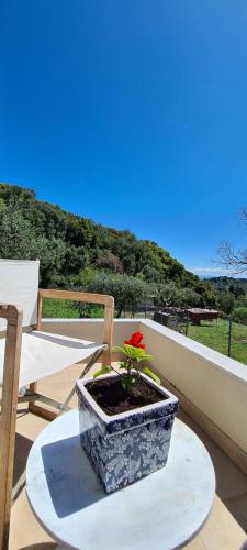Corfu Private Villa Irini