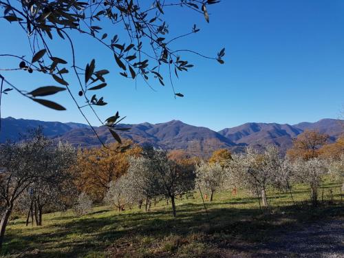 Agriturismo LA VECCHIA CASCINA