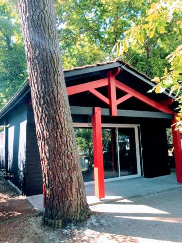 Cabane Arcachonnaise gîte à louer Arcachon