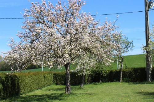 Gite LA ROCHERIE