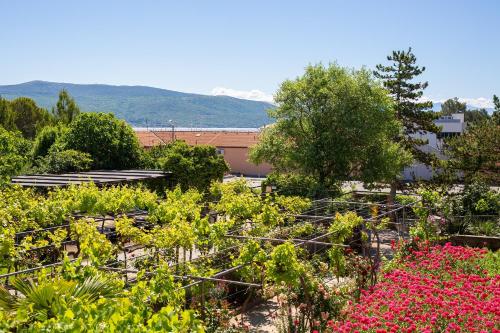 Apartments Adria Danka - image 12