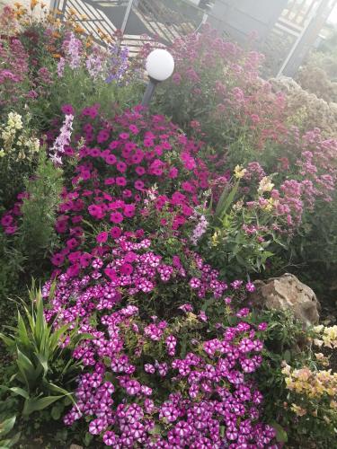  Da Mario & Marianna in Campanedda