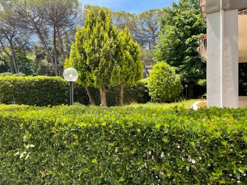 B&B Feelgood, Rome