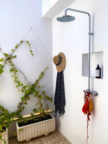 Fragile Hotel - image 9