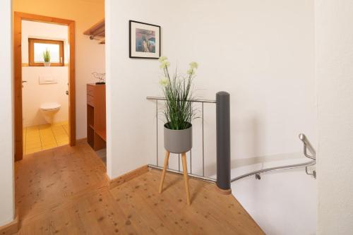 Haus Bellevue - image 7