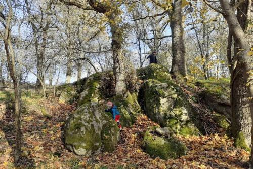 Superbe Moulin au bord d'une riviere, au calme, avec piano