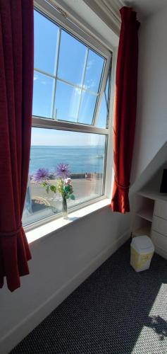 Ash Hotel - image 10