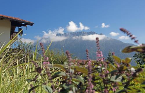 景觀, Ferienwohnung Maria in 埃布斯