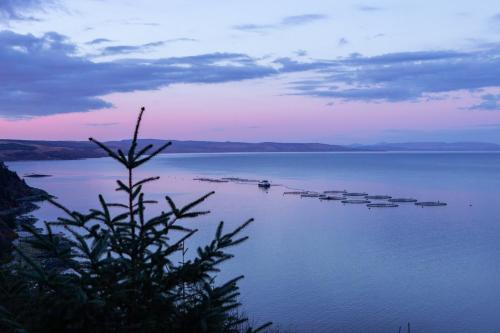 周邊環境, 塔姆法恩茶室旅館 (Drumfearne Guesthouse & Tearoom) in 卡羅代爾